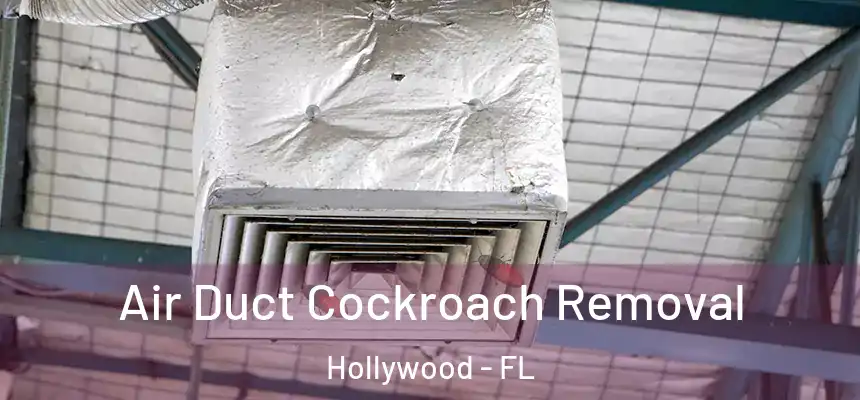 Air Duct Cockroach Removal Hollywood - FL