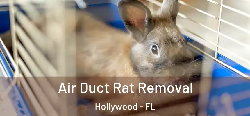  Air Duct Rat Removal Hollywood - FL