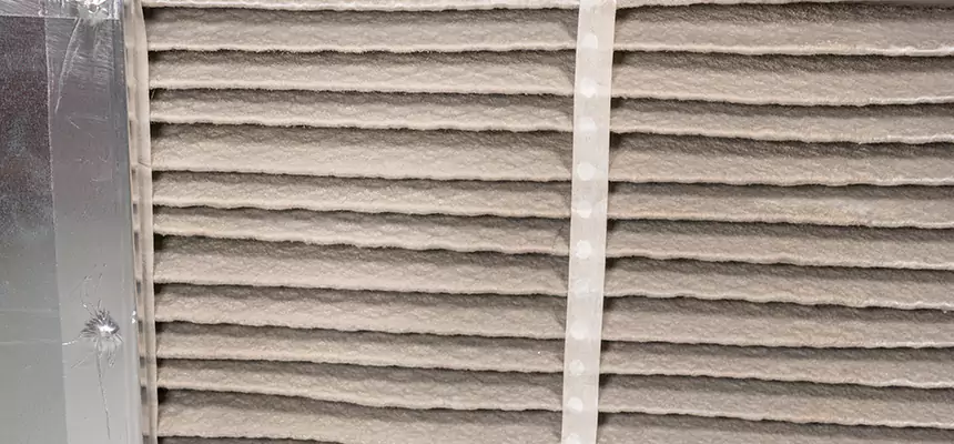 Mobile Car AC Filter Replacement in Hollywood