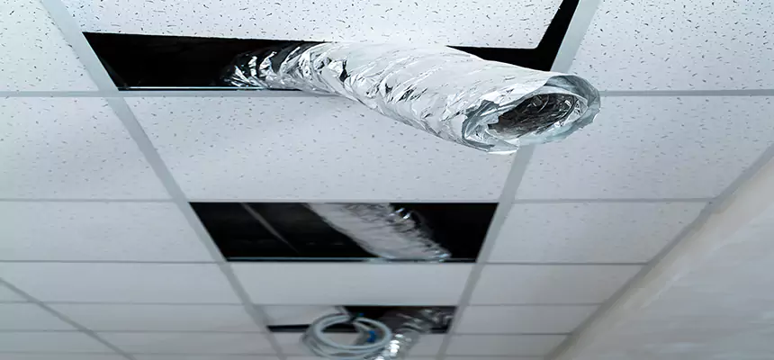 Affordable HVAC Sanitizing After Pest Removal in Hollywood