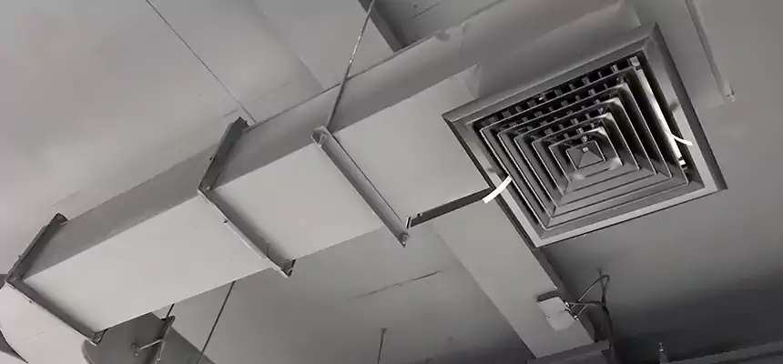 Restorative Allergy Relief Vent Cleaning – Coil, Blower & Housing Detail in Hollywood