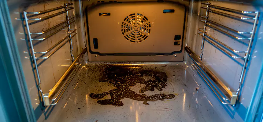 Our Dryer Vent Mold Cleaning Services in Hollywood, FL