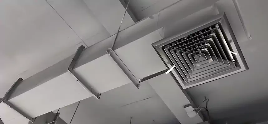 Our Pest Removal From Ducts Services in Hollywood, FL