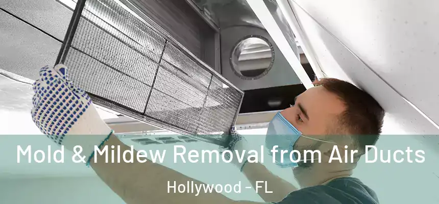 Mold & Mildew Removal from Air Ducts Hollywood - FL