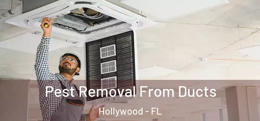 Pest Removal From Ducts Hollywood - FL