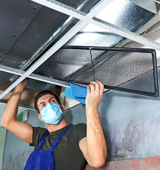 About Air Duct Bacteria Removal in Hollywood