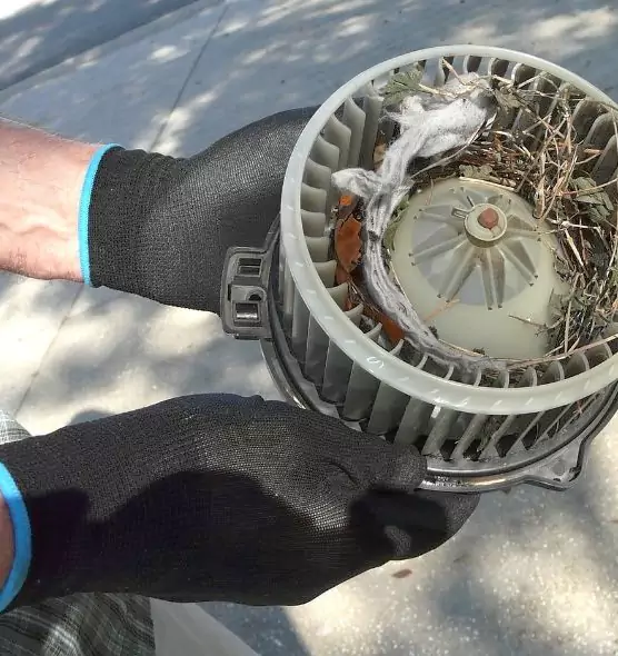 About Air Duct Mice Removal in Hollywood, FL