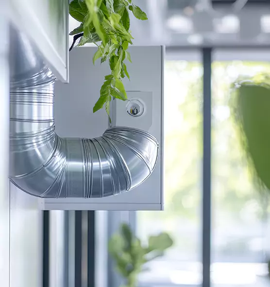 Professional Eco-Safe Dryer Vent Cleaning in Hollywood, FL