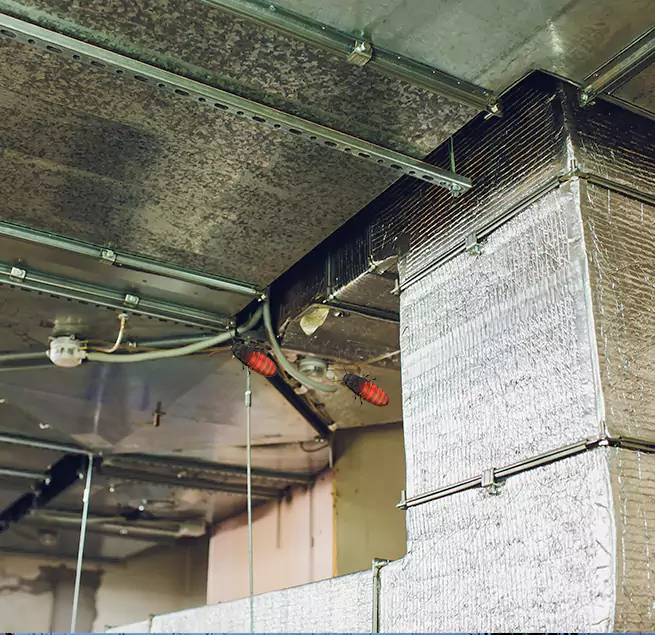 Why Homeowners & Businesses Trust Us in Hollywood, FL?