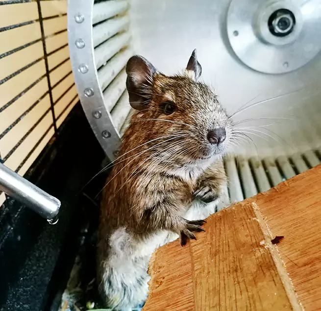 Why Homeowners & Businesses Trust Us Hollywood, FL?