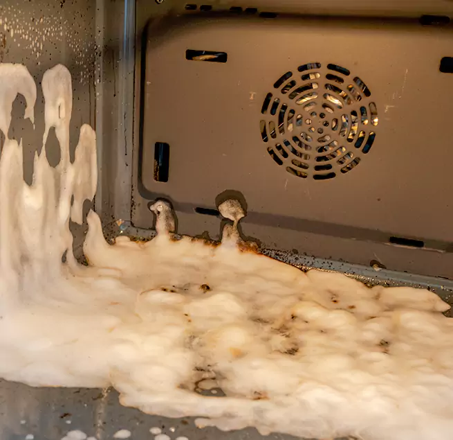 Why Homeowners & Businesses Trust Us in Hollywood, FL?