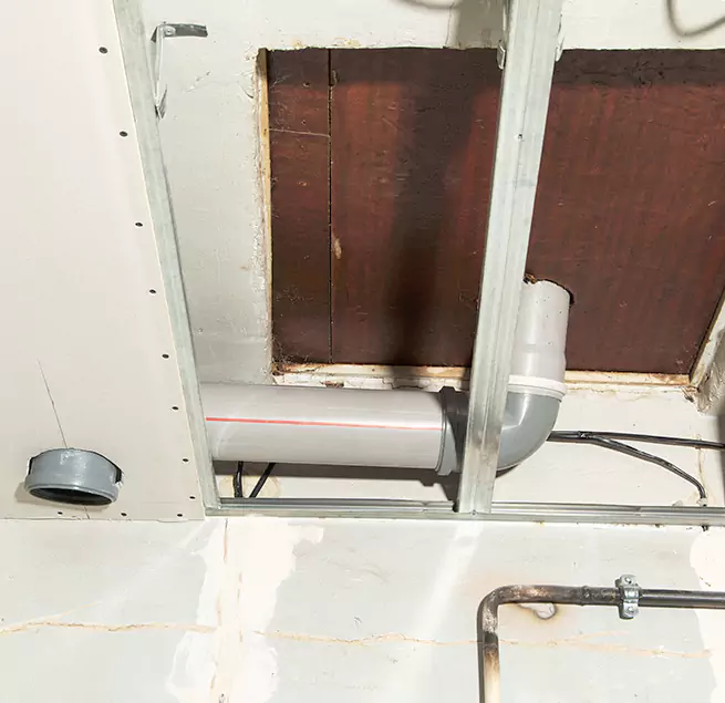 Why Homeowners & Businesses Trust Us in Hollywood, FL?