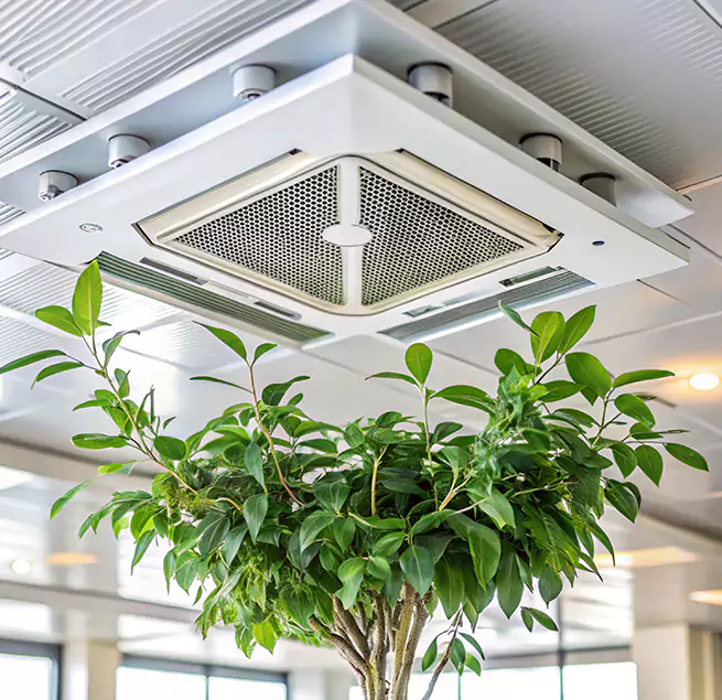 Why Homeowners & Businesses Trust Us in Hollywood, FL?