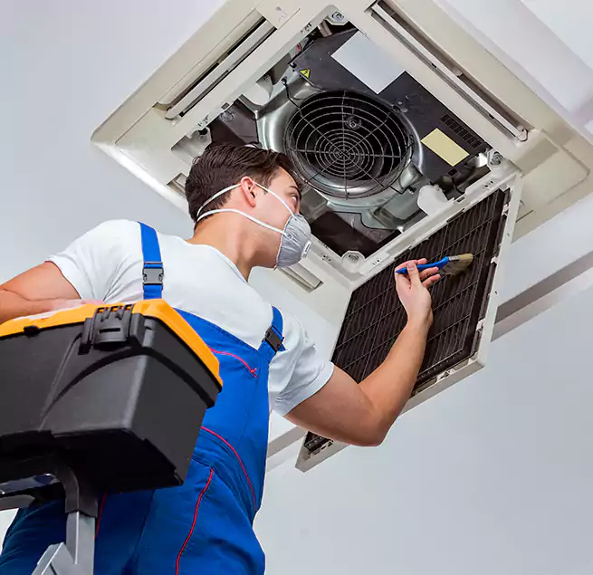 Why Homeowners & Businesses Trust Us in Hollywood, FL?