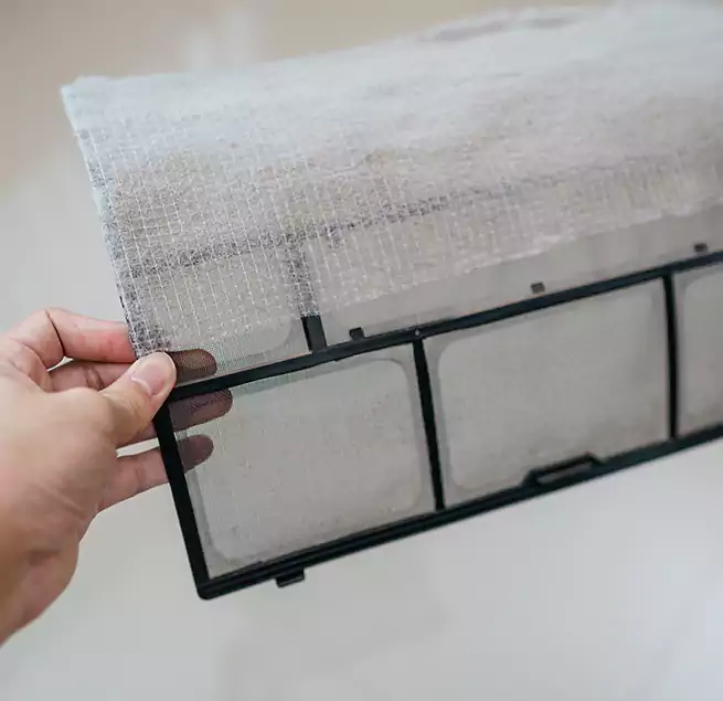 Why Homeowners & Businesses Trust Us in Hollywood, FL?