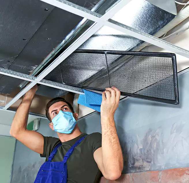 Why Homeowners Businesses Trust Us in Hollywood, FL?